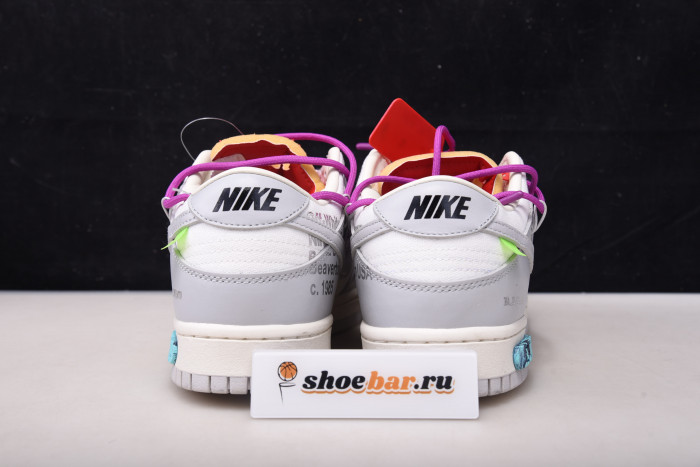 fw x dunk low 