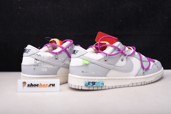 fw x dunk low 